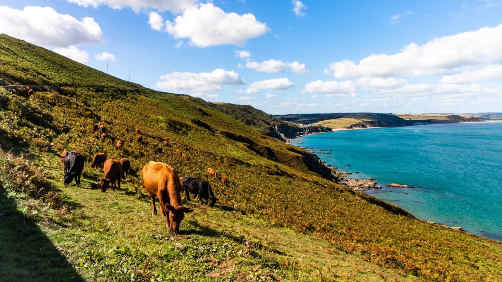 Airport transfer from Devon — professional private hire